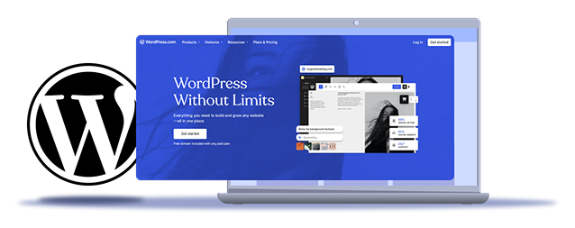 WordPress Illustration